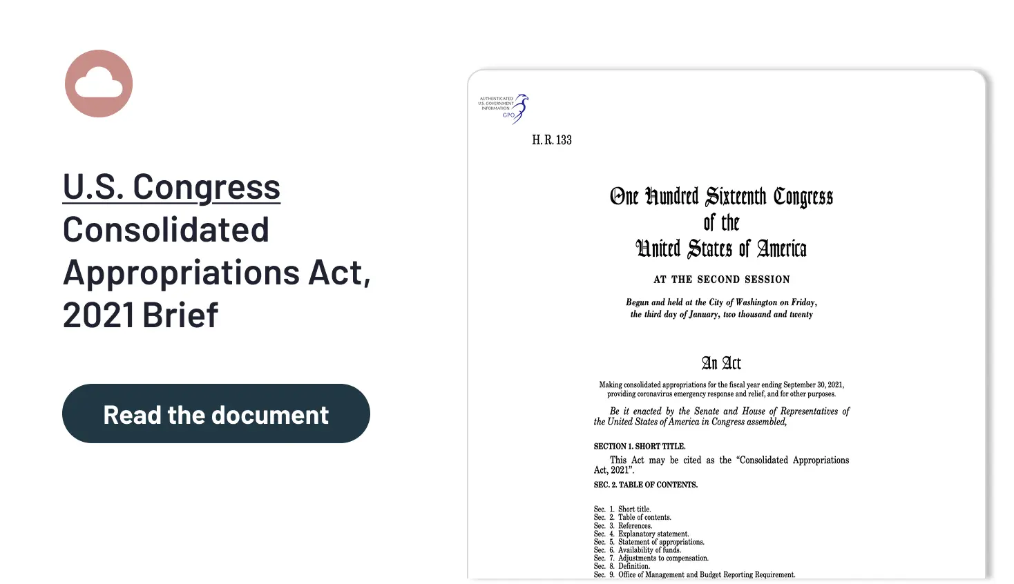 U.S. Congress Consolidated Appropriations Act, 2021 Brief